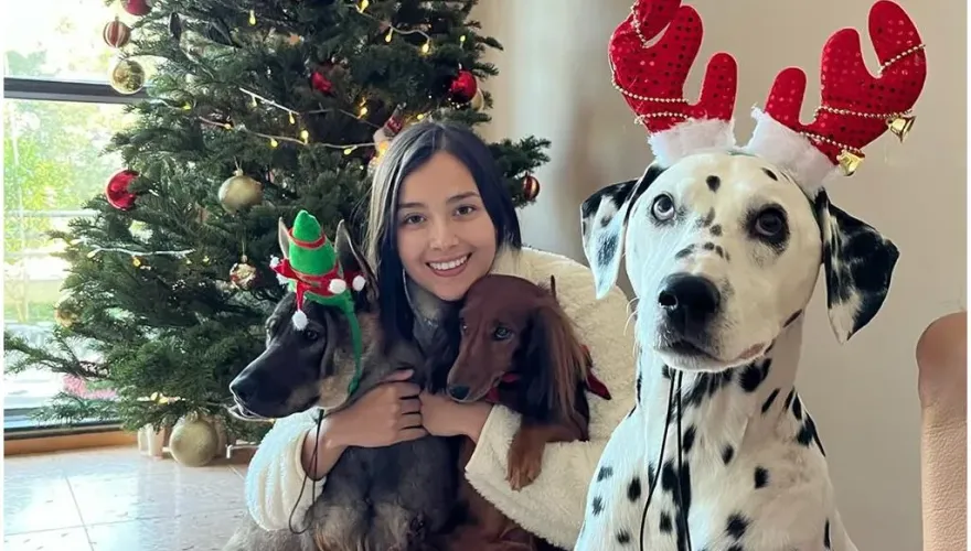 謝嘉怡2愛犬吃路邊毒肉暴斃！怒批：對人性失去信心