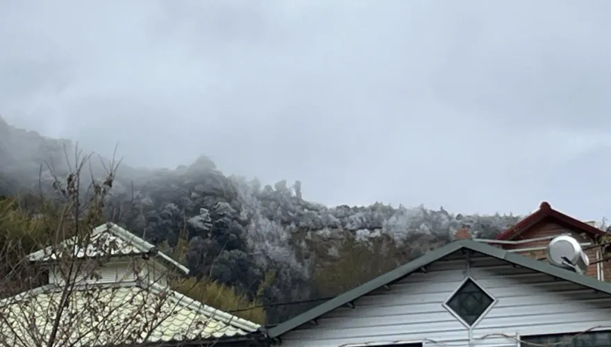 冷氣團發威！尖石鄉新光部落山頭白皚皚一片