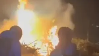 影/中山大學大火！籃球場旁樹枝突竄燒　學生急拿滅火器滅火