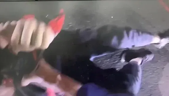影/台中猴當街揮刀！不爽開車被閃燈「攔車嗆聲」1男毀容