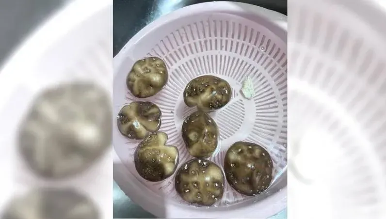 香菇「佈滿白點」能吃嗎？網：煮熟會消失