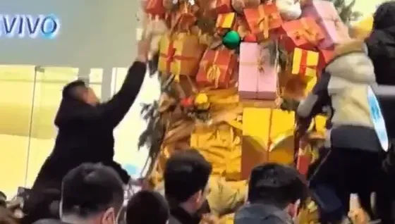 影/傻眼！太原商場耶誕樹禮包遭瘋搶　員工狂喊：只是空盒