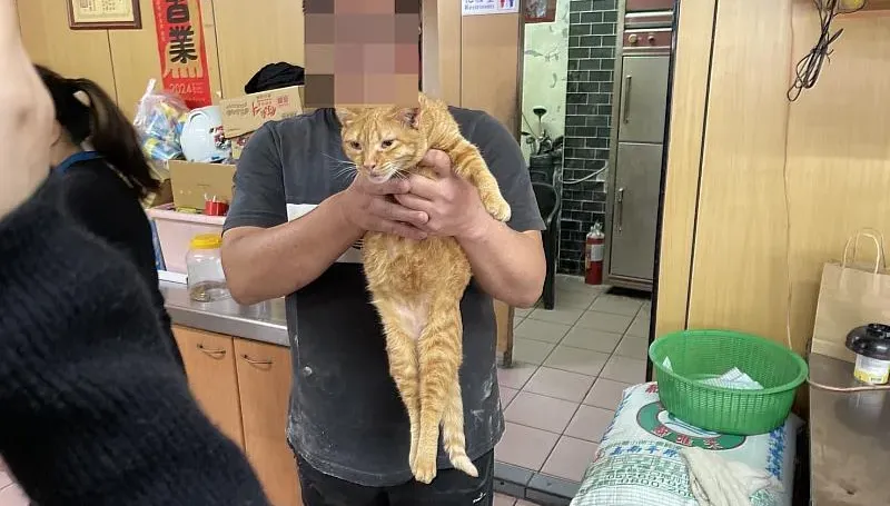 救援危難貓咪！公務員遭威脅「拿刀砍你」　飼主被控恐嚇等3罪