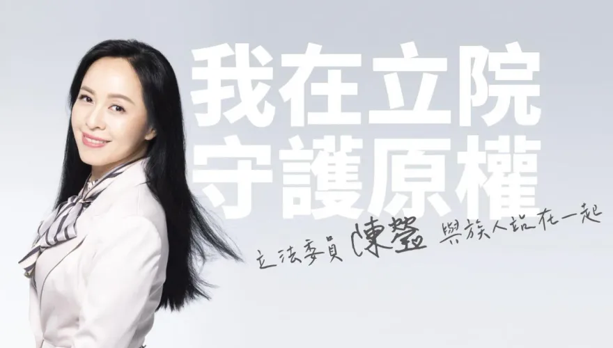 天后阿妹演唱會開直播　民進黨立委陳瑩道歉
