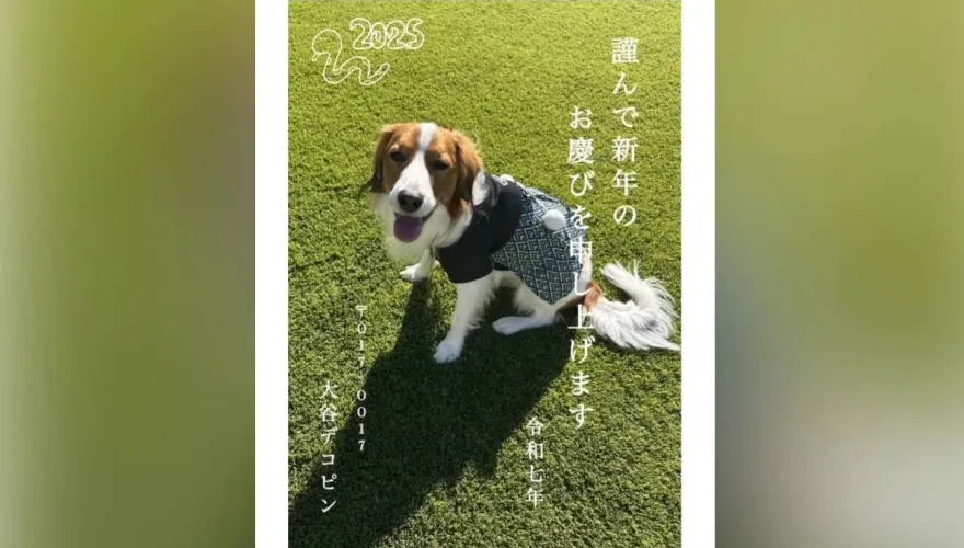 大谷翔平發賀年卡！愛犬賣萌吐舌頭　郵遞區號「017-0017」