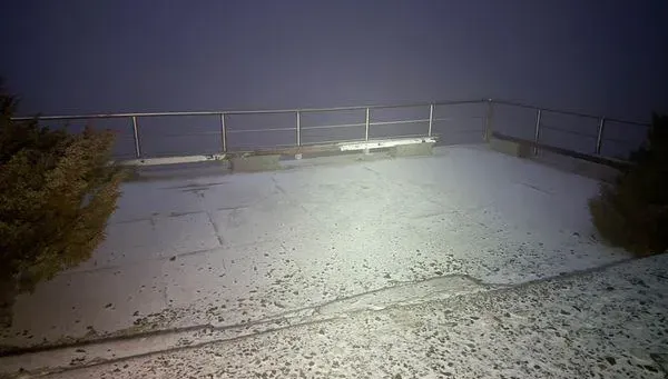 影/玉山一早驚喜降雪「成銀白世界」　積雪0.5公分