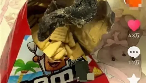 影/頭皮麻！打開零食包裝驚見「整隻油炸壁虎」　陸廠嗆：炒作