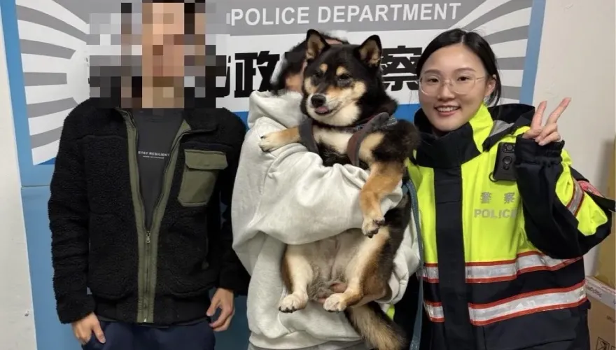 萌犬流浪記！黑柴走失逛大街　警掃晶片助助牠返家