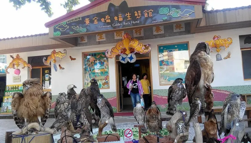 春節雲林親子必遊！二崙故事屋、黃金蝙蝠生態館　玩樂中學習