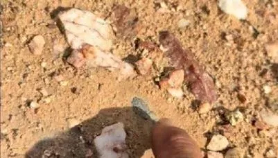 地上亮亮的竟是寶！　幸運男雨後散步挖出「394克拉藍寶石」