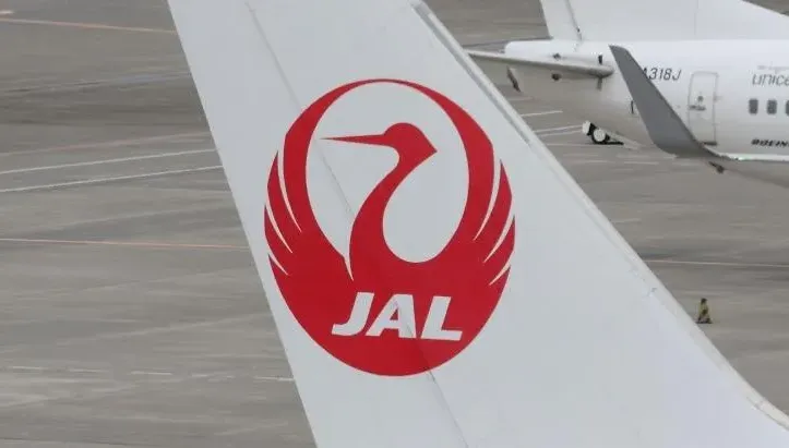 機長眼花？日航客機起飛滑行跑偏急停　撞壞機場助航燈