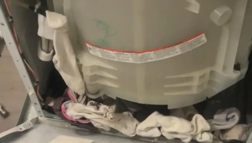 影/都市傳說「洗衣機吃襪子」是真的？美女拆開驚見神秘空間