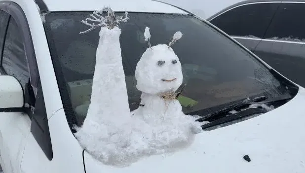 影/合歡山「厚厚積雪」夢幻到爆　民眾如願堆雪人超嗨