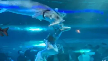 影/驚！整顆頭都被吞掉　雲南水族館鱘魚咬傷俄籍「美人魚」