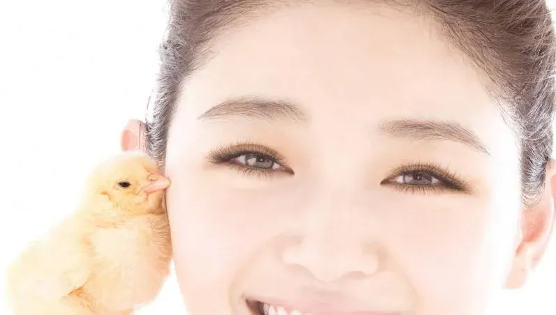 力挺動物權益反皮草　動團悼念大S：被溫暖的生命都會懷念她