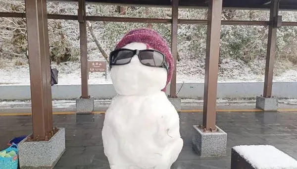 影/太平山灑冰霰！銀白霜雪覆蓋　遊客瘋堆雪人