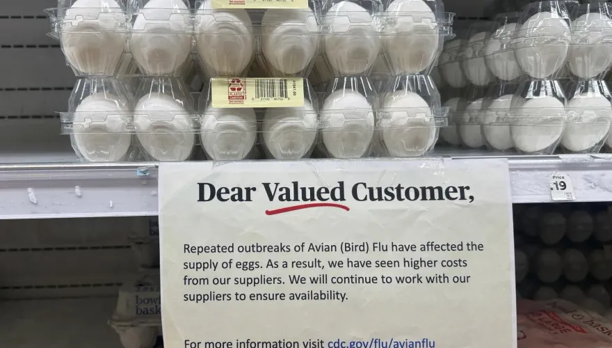 買嘸蛋！美國H5N1疫情升溫鬧蛋荒　歹徒劫貨車搶走10萬顆蛋