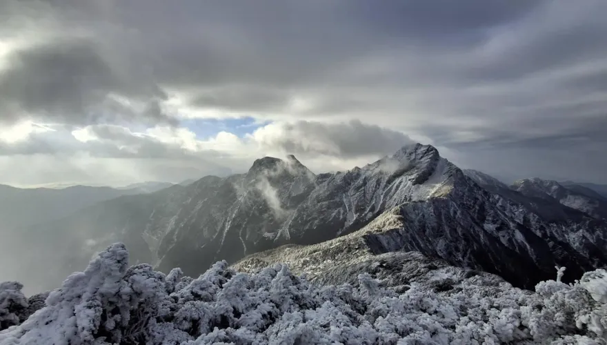 寒流加持積雪未融化！　玉山主峰變「白雪世界」