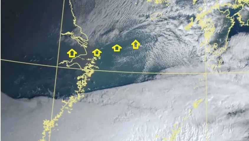 9縣市低溫…寒流敲門！　鄭明典：進一步降溫要看雲街近台