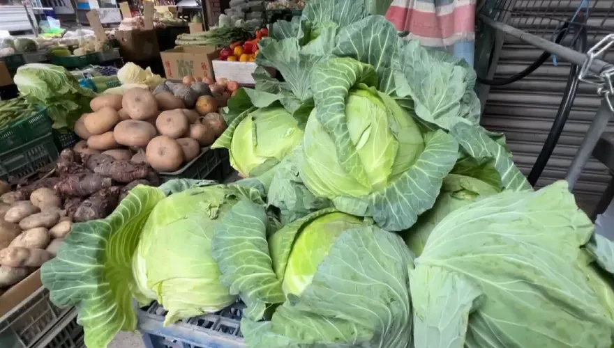 台灣高麗菜過譽？網讚「甜又好吃」：國外吃到會懷念到哭