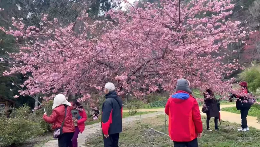不用再連上6天了！人事總處：未來只有補假沒補班
