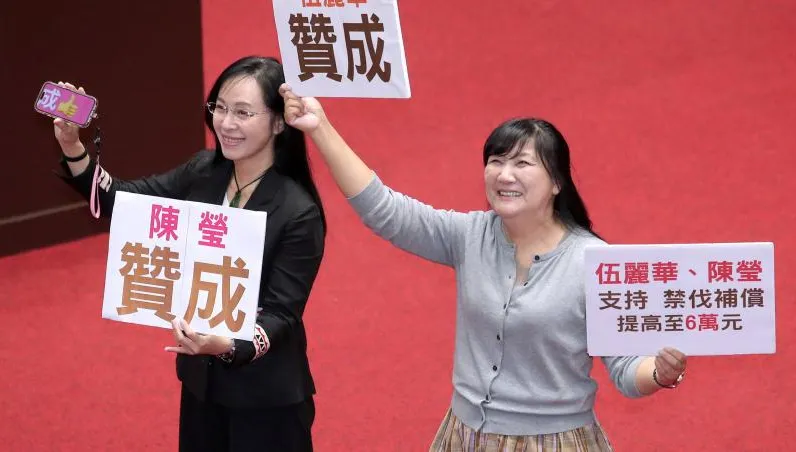 罷免陳瑩、伍麗華告吹　中選會：法定期限內未送件不受理