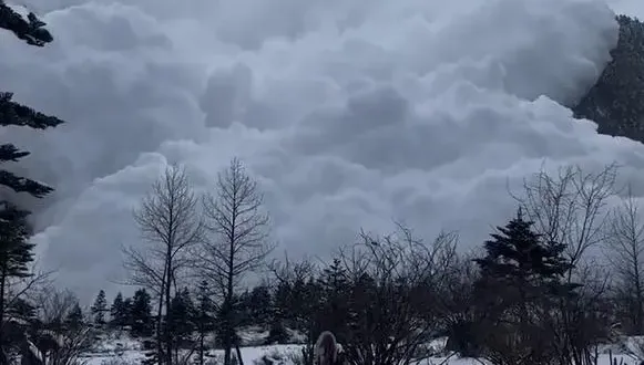 影/驚險瞬間！雲南雪崩「白色巨浪吞沒人群」　遊客尖叫奔逃