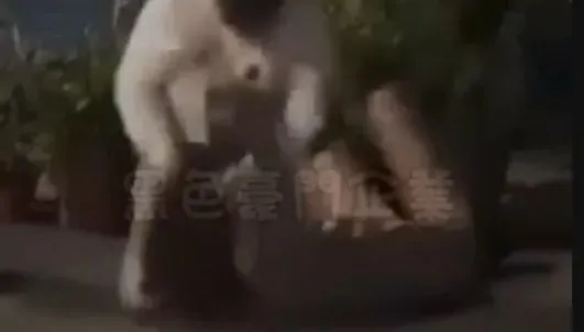 影/員林凌晨女女鬥毆片！悍女狂揍短裙妹　抱頭砸地血滿面