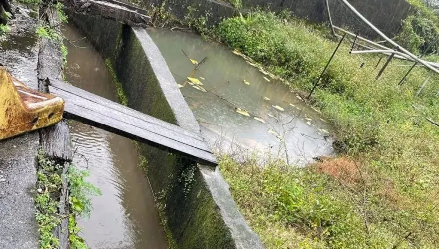 金山61歲翁陳屍排水溝！脖子有瘀傷　警判「無外力介入」