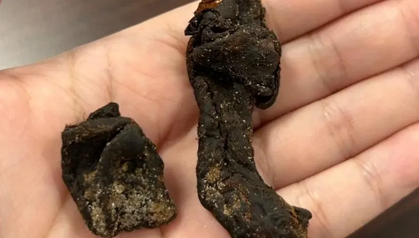 「台灣黑人參」老菜脯比晶片還難買！20年極品　身價飆破萬