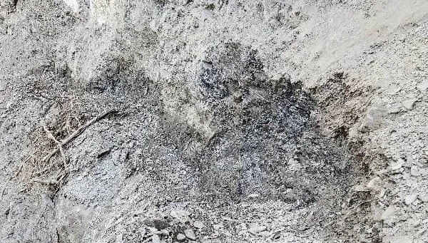 2山友接連滑落！八通關步道路況差　玉管處：踩點僅10公分