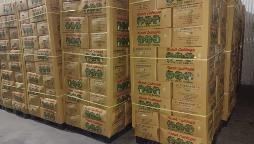 北農外銷再突破！「18噸國產高麗菜」明天出口到日本