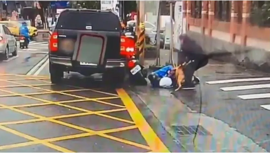 影/比特犬突跳車窗！瘋狂咬等紅燈騎士　驚悚瞬間曝