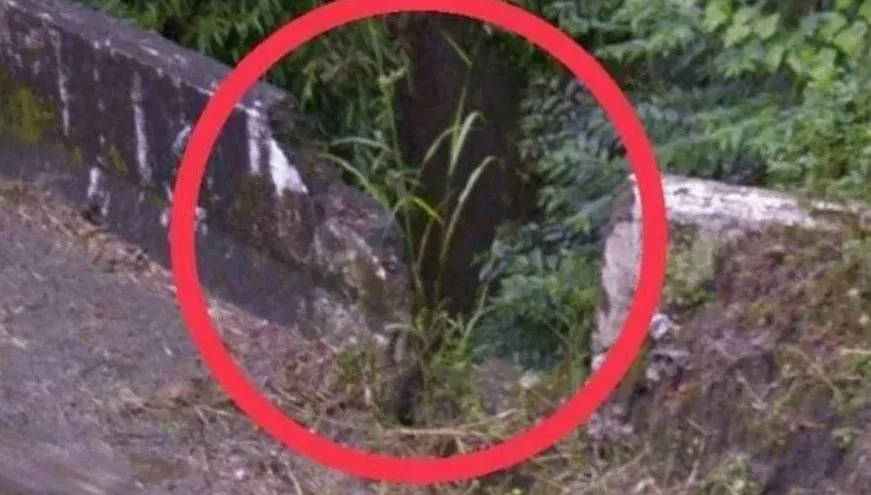 惡魔養雞場老闆棍穿員工推落橋！　殺人獲交保竟傳訊家屬求和解