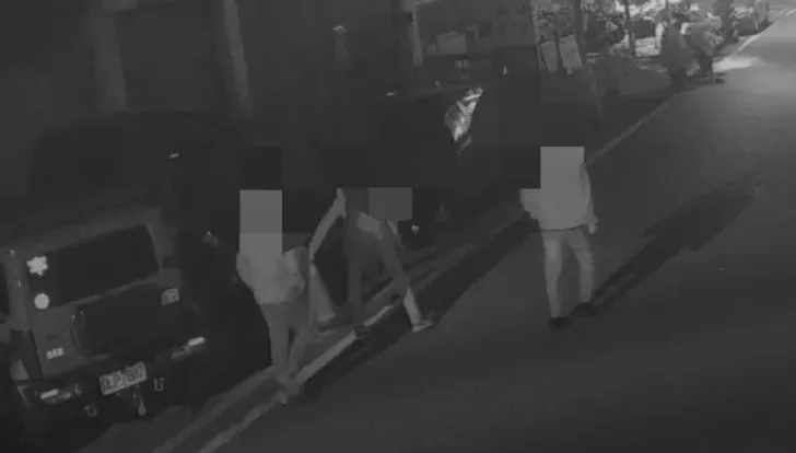 影/3猴大鬧花蓮！隨地小便、亂丟三角錐還爬電線桿拍照