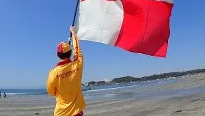 南海海槽強震機率飆高　郭鎧紋：赴日見「紅白旗」快逃命