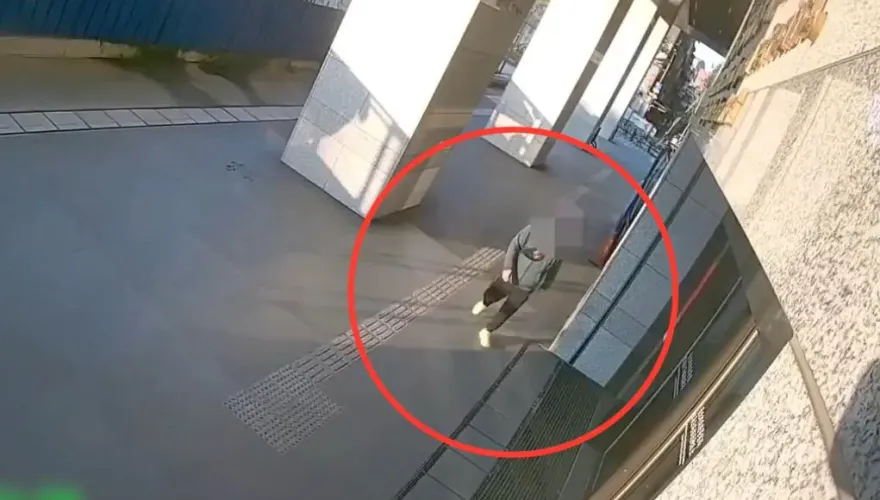 助鍾文智躲石碇老街潛逃！胞妹、姪女等4人遭搜索拘提