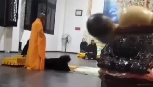 影/師父持「念珠狂鞭」中邪女信徒　網驚：直接超渡？