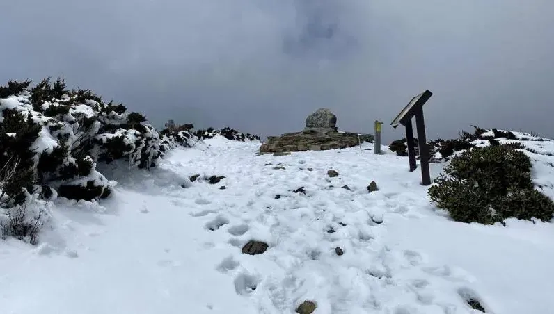 美呆了！冷氣團來勢洶洶　雪霸山區一片雪白