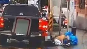 33秒咬人驚悚瞬間！比特犬跳窗撲人　騎士掙扎求生