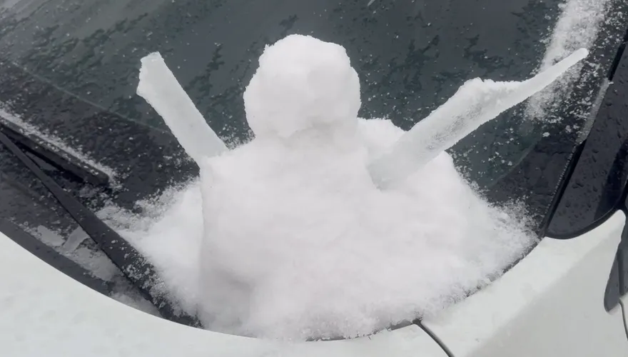 11/22迎小雪！6生肖運勢最旺　財運「擋都擋不住」