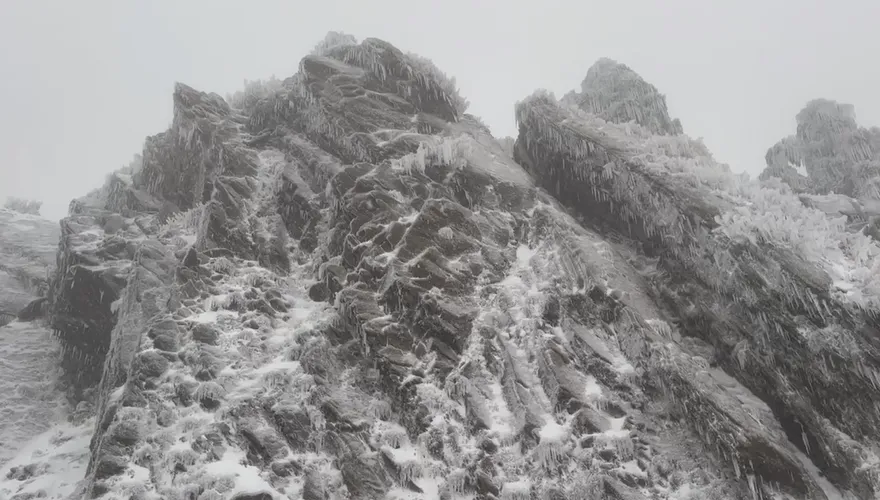 北東明起變天！中部以北3500米高山有望降雪　深夜剩15度