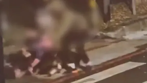 影/不止比特犬！北市羅威納「狂襲小黑」又咬人　恐怖畫面曝光