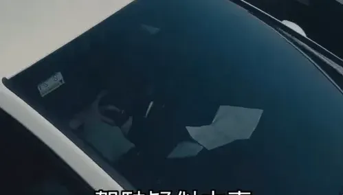 速度與激情！女高速公路幫男駕駛「吸蛇毒」　網笑：幫小弟弟人工呼吸