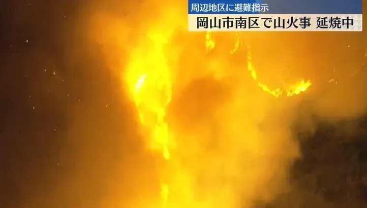 日本岡山森林大火！火勢難以控制逼近山腳　居民緊急疏散