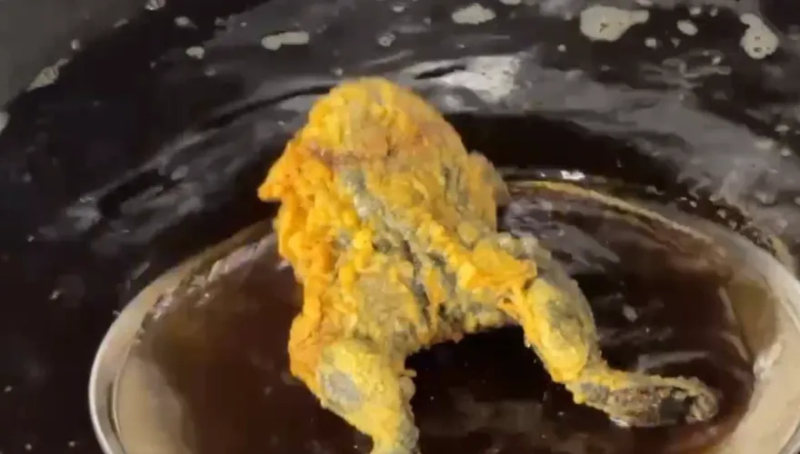 影/黑暗料理界新秀！草屯特色「炸青蛙」　饕客竟當雞排啃