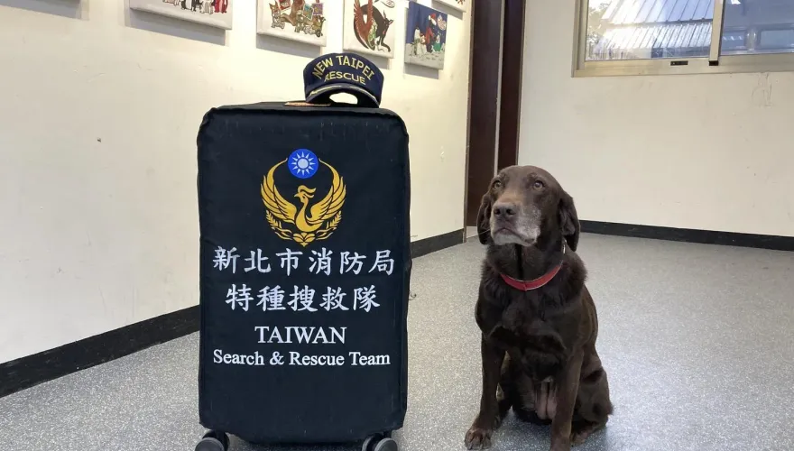 曾支援太魯閣出軌！新北搜救犬Amei　待命緬甸強震萌樣曝