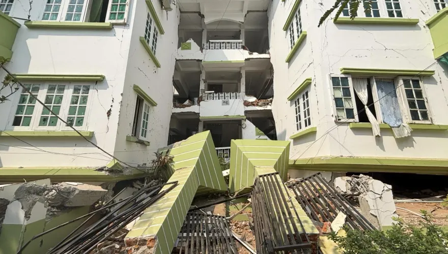 8.2大地震當下「海底奇景」　泰國潛水員驚見：魚群全部躺下