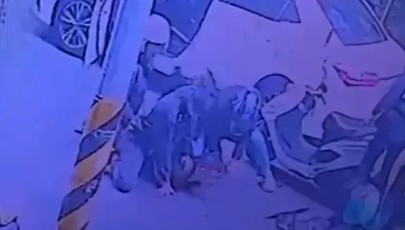影/台南街頭緝捕詐欺監控手！他嚇傻：上班變VIP觀眾席