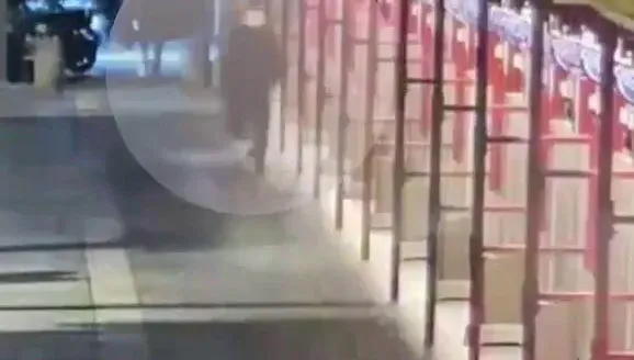 影/龍山寺遭汽油彈攻擊...影片曝光！　狂男落網遭移送